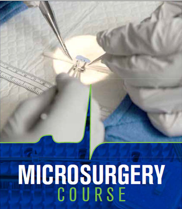 Microsurgery Workshop 2024 Banner