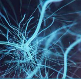 Neurology for the Primary Care Physician Conference 2018 Banner