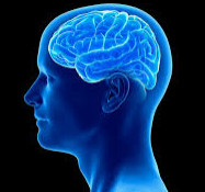 Approaches to Stroke Reduction in Atrial Fibrillation Banner